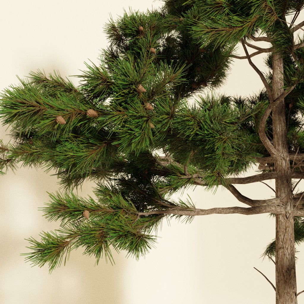 Pine Tree preview image 1